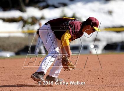 Thumbnail 3 in Conifer vs. Golden photogallery.