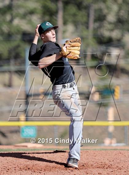 Thumbnail 3 in Conifer vs. Golden photogallery.