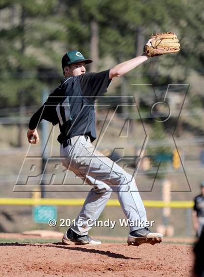 Thumbnail 2 in Conifer vs. Golden photogallery.