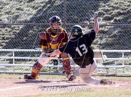 Thumbnail 2 in Conifer vs. Golden photogallery.