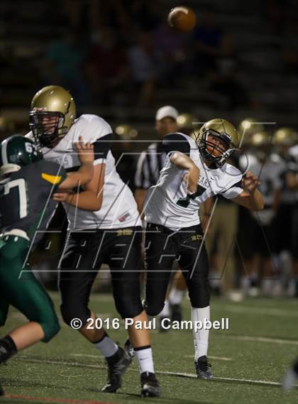 Thumbnail 2 in Basha @ Horizon photogallery.