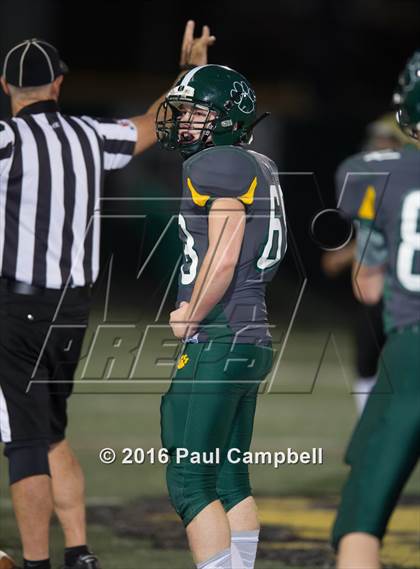 Thumbnail 1 in Basha @ Horizon photogallery.
