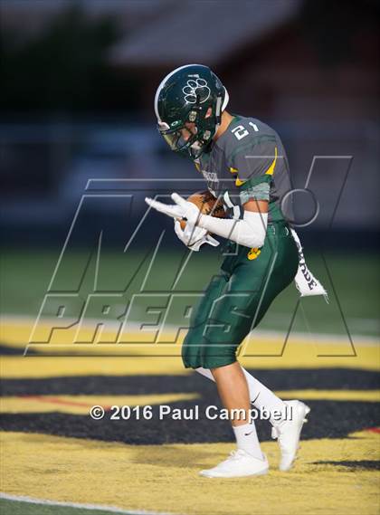 Thumbnail 3 in Basha @ Horizon photogallery.