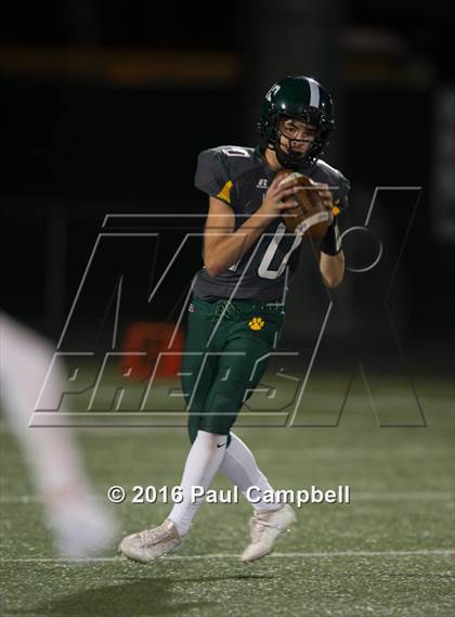 Thumbnail 1 in Basha @ Horizon photogallery.