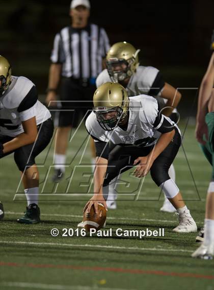 Thumbnail 1 in Basha @ Horizon photogallery.
