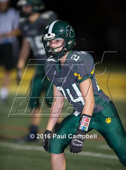 Thumbnail 3 in Basha @ Horizon photogallery.
