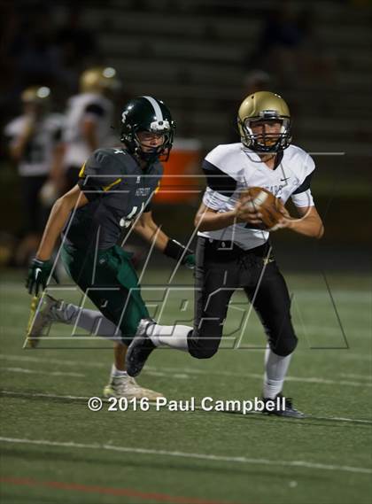 Thumbnail 2 in Basha @ Horizon photogallery.