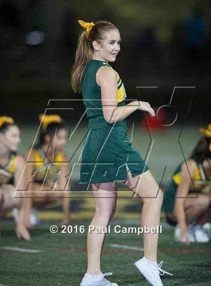 Thumbnail 3 in Basha @ Horizon photogallery.