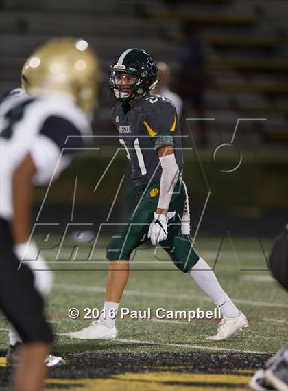 Thumbnail 3 in Basha @ Horizon photogallery.