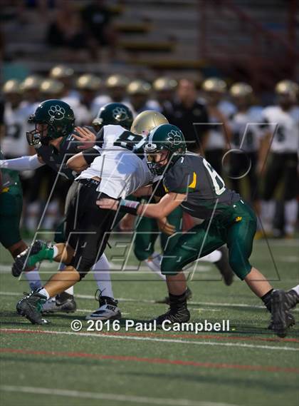Thumbnail 3 in Basha @ Horizon photogallery.