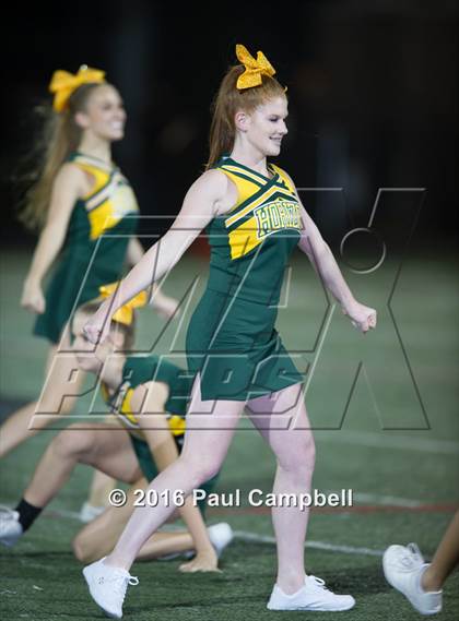 Thumbnail 3 in Basha @ Horizon photogallery.