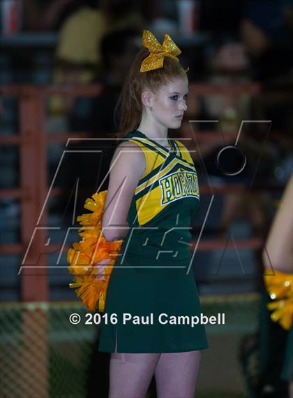 Thumbnail 3 in Basha @ Horizon photogallery.