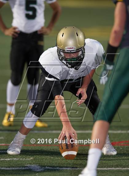 Thumbnail 1 in Basha @ Horizon photogallery.