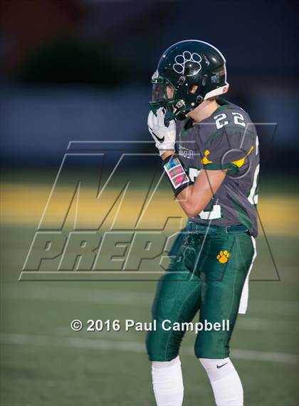 Thumbnail 1 in Basha @ Horizon photogallery.