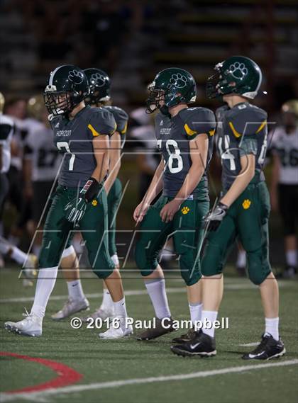 Thumbnail 2 in Basha @ Horizon photogallery.