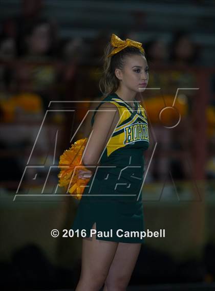 Thumbnail 3 in Basha @ Horizon photogallery.