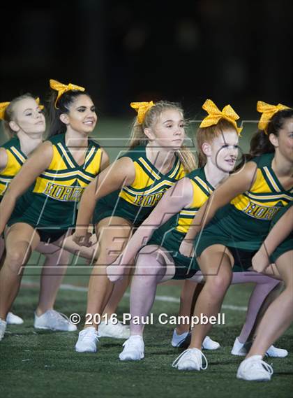 Thumbnail 2 in Basha @ Horizon photogallery.