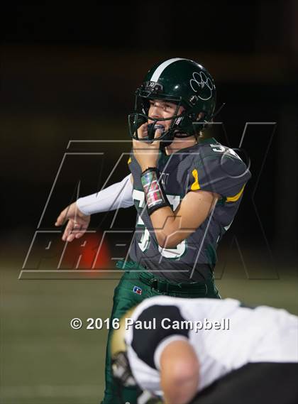 Thumbnail 3 in Basha @ Horizon photogallery.