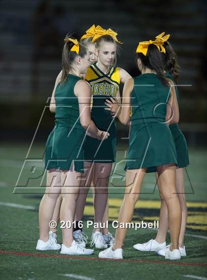 Thumbnail 1 in Basha @ Horizon photogallery.