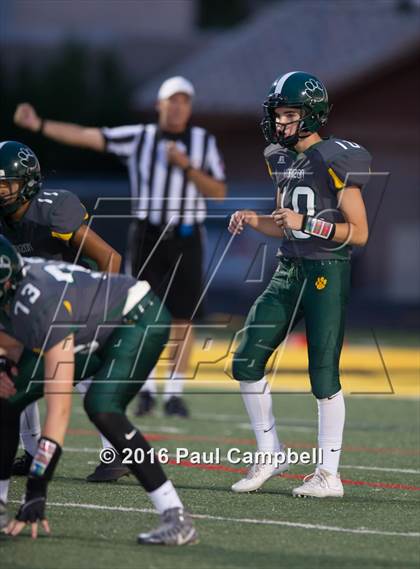 Thumbnail 2 in Basha @ Horizon photogallery.
