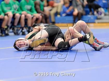 Thumbnail 3 in Weddington photogallery.