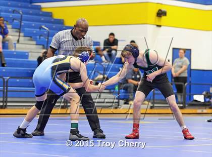 Thumbnail 1 in Weddington photogallery.