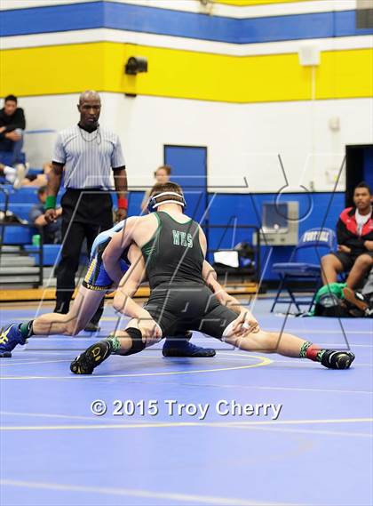 Thumbnail 3 in Weddington photogallery.