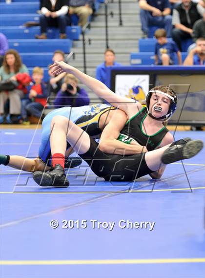 Thumbnail 2 in Weddington photogallery.