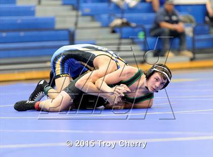 Thumbnail 3 in Weddington photogallery.