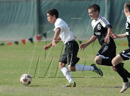 Thumbnail 3 in Villa Park @ Troy photogallery.