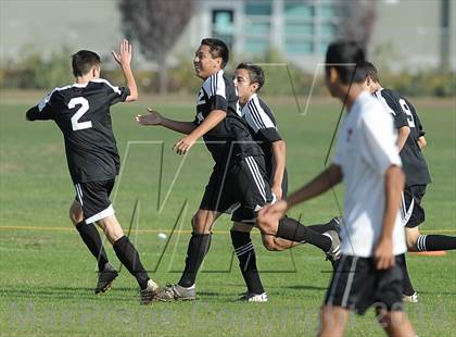 Thumbnail 3 in Villa Park @ Troy photogallery.