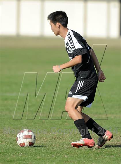 Thumbnail 3 in Villa Park @ Troy photogallery.