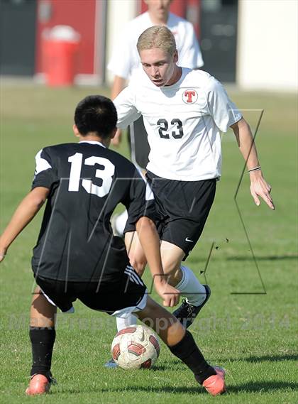 Thumbnail 2 in Villa Park @ Troy photogallery.
