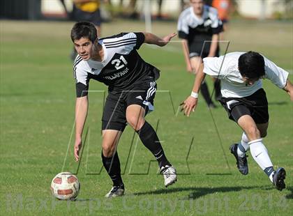 Thumbnail 2 in Villa Park @ Troy photogallery.
