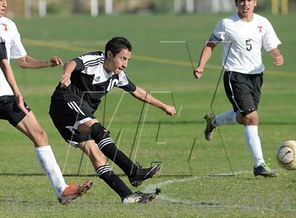 Thumbnail 3 in Villa Park @ Troy photogallery.