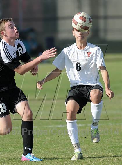 Thumbnail 1 in Villa Park @ Troy photogallery.