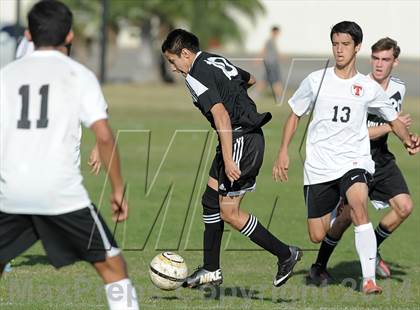 Thumbnail 1 in Villa Park @ Troy photogallery.