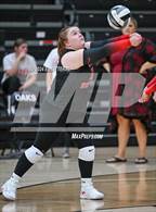 Photo from the gallery "South Webster @ Oak Hill"