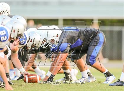 Thumbnail 2 in Bartram Trail @ Clay (Spring Game) photogallery.