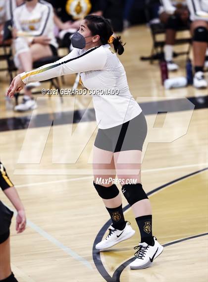 Thumbnail 1 in Patterson @ Lathrop photogallery.