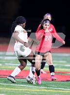 Photo from the gallery "Berkeley @ Monte Vista"