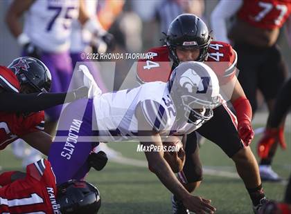 Thumbnail 3 in Terry vs. Angleton photogallery.