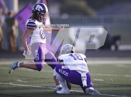 Thumbnail 3 in Terry vs. Angleton photogallery.