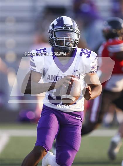 Thumbnail 2 in Terry vs. Angleton photogallery.