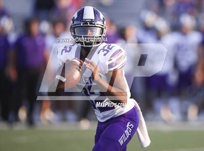 Thumbnail 2 in Terry vs. Angleton photogallery.