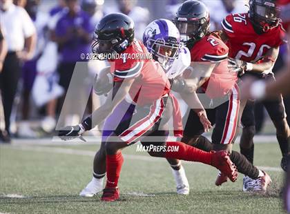 Thumbnail 1 in Terry vs. Angleton photogallery.