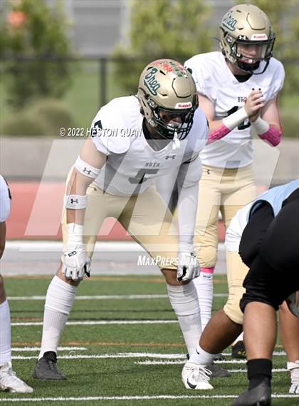 Thumbnail 3 in Brea Olinda @ Villa Park photogallery.