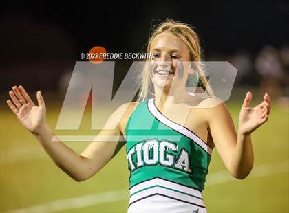 Thumbnail 3 in Tioga @ Collinsville photogallery.