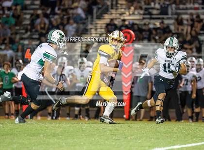 Thumbnail 3 in Tioga @ Collinsville photogallery.