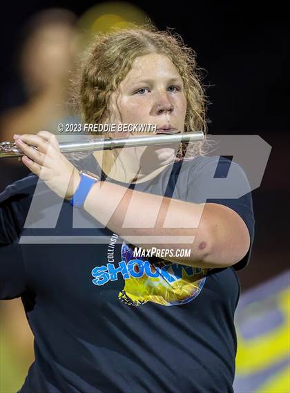 Thumbnail 3 in Tioga @ Collinsville photogallery.